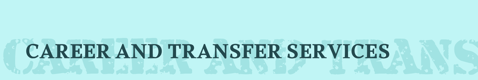 Career and Transfer Services